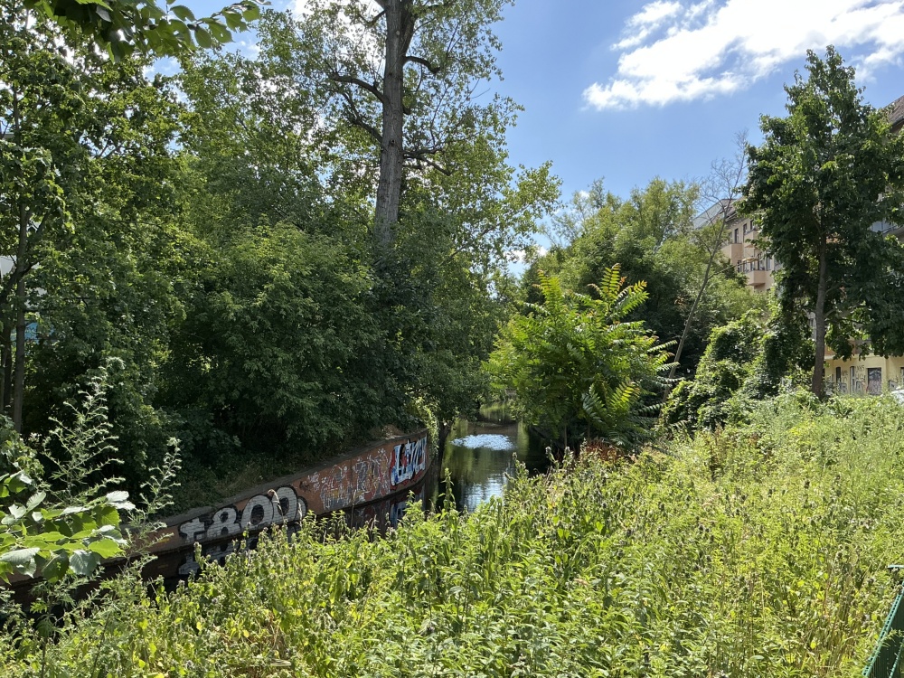 Blick auf die Panke