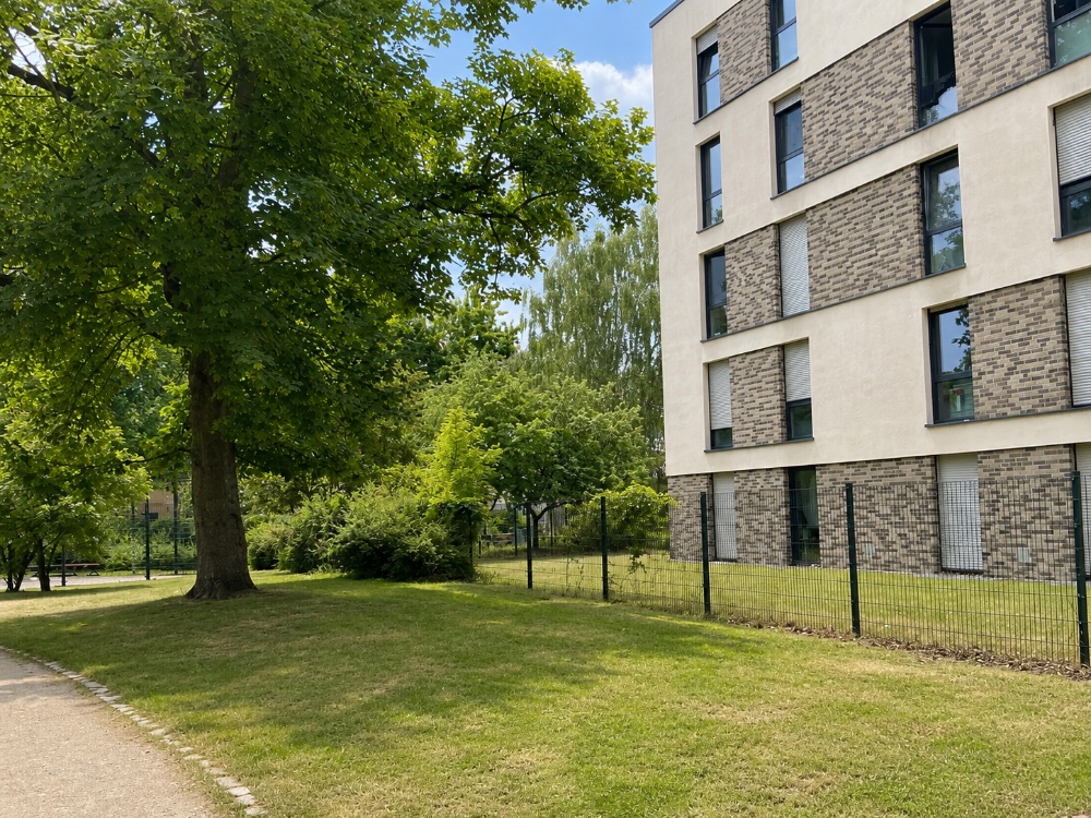 Grünanlage