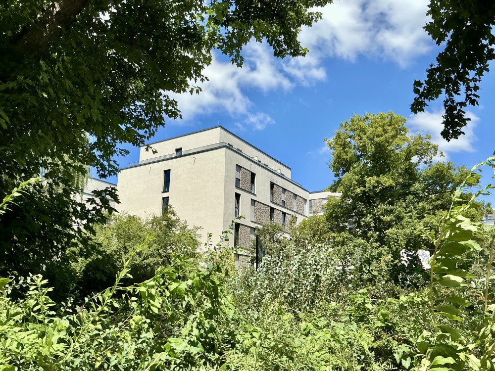 Blick vom Park
