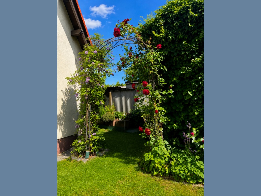 Rosenbogen