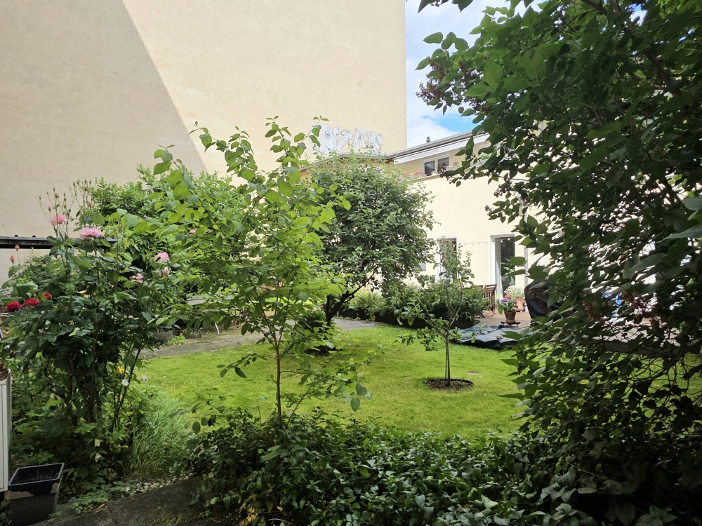 Blick von der Terrasse