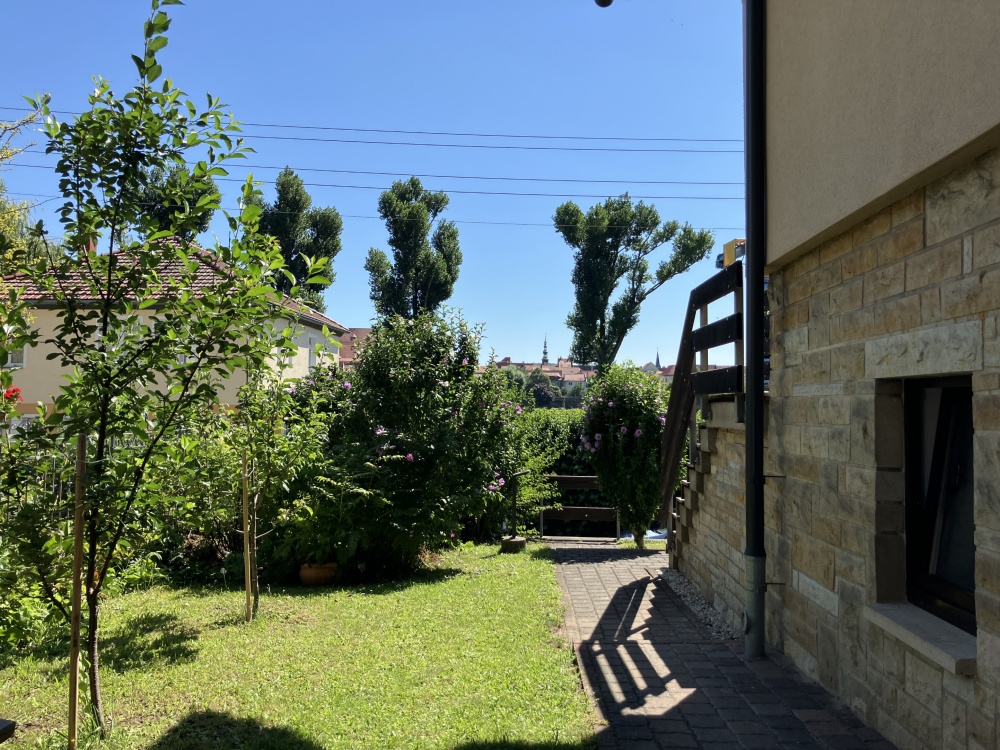 Garten neben Kellerausgang