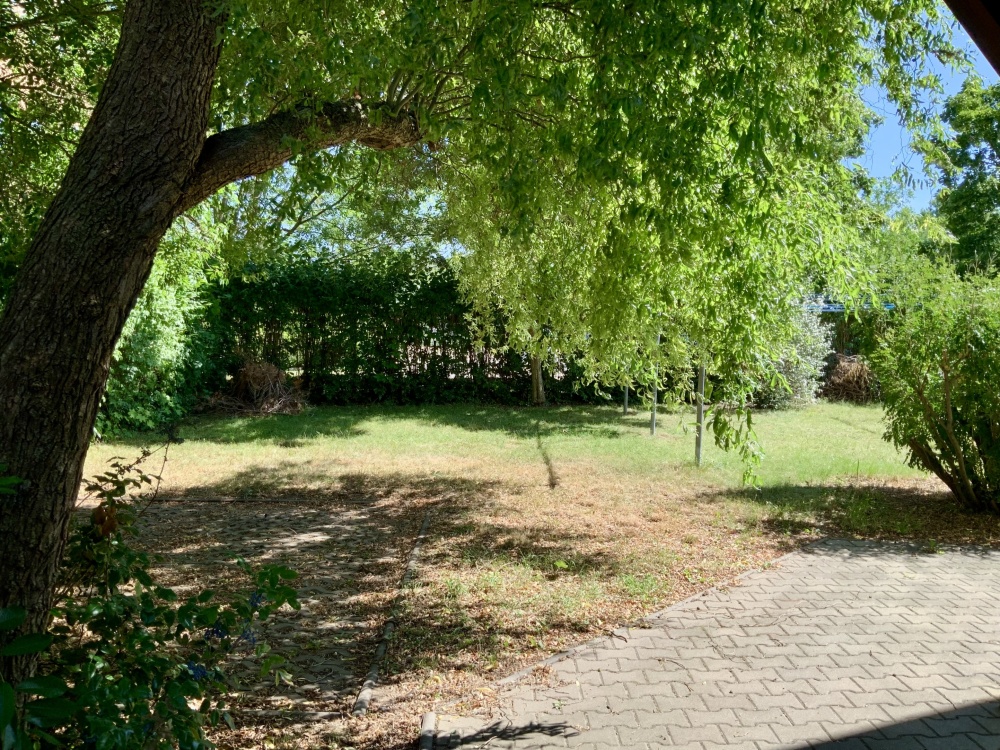 Gemeinschaftsgarten