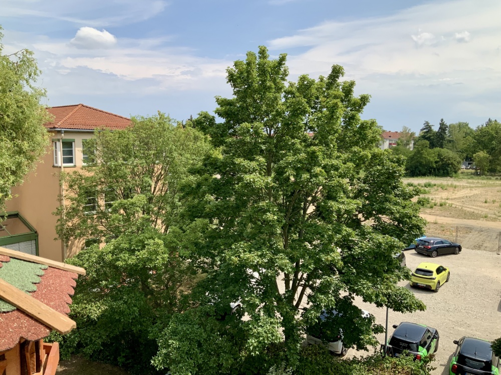 Blick vom Balkon