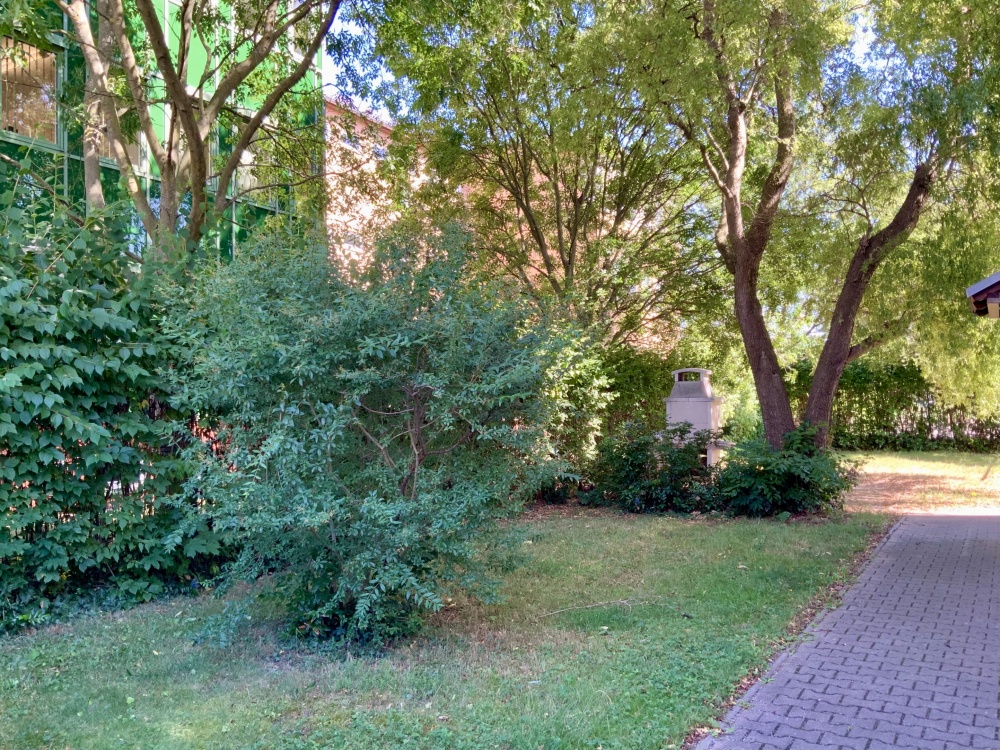 grüne Umgebung