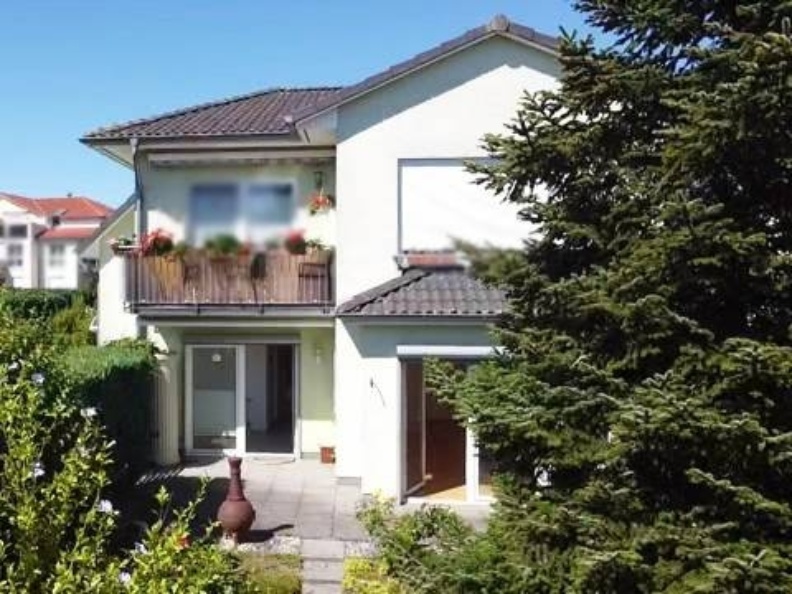 Blick aus dem Garten 
