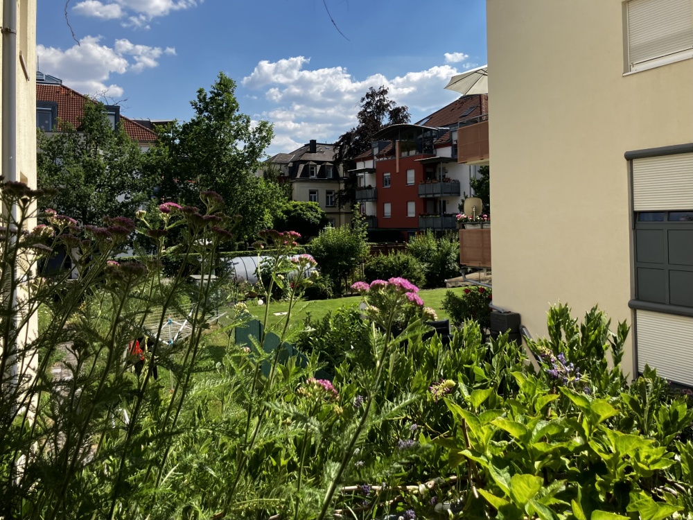 Balkonblick