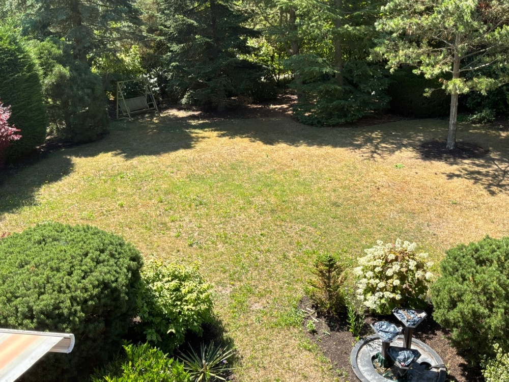 Ausblick vom Balkon