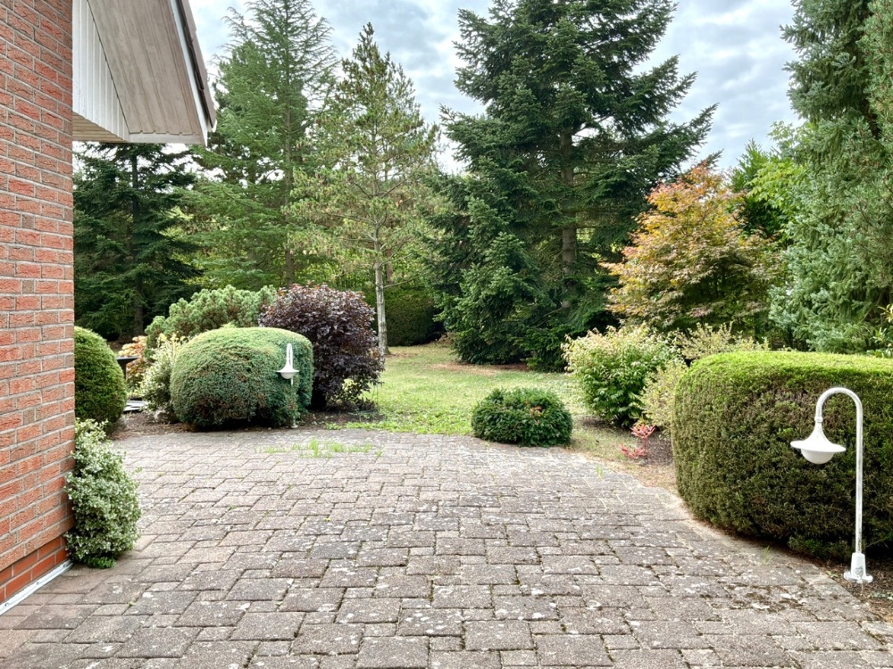 Impression im Garten