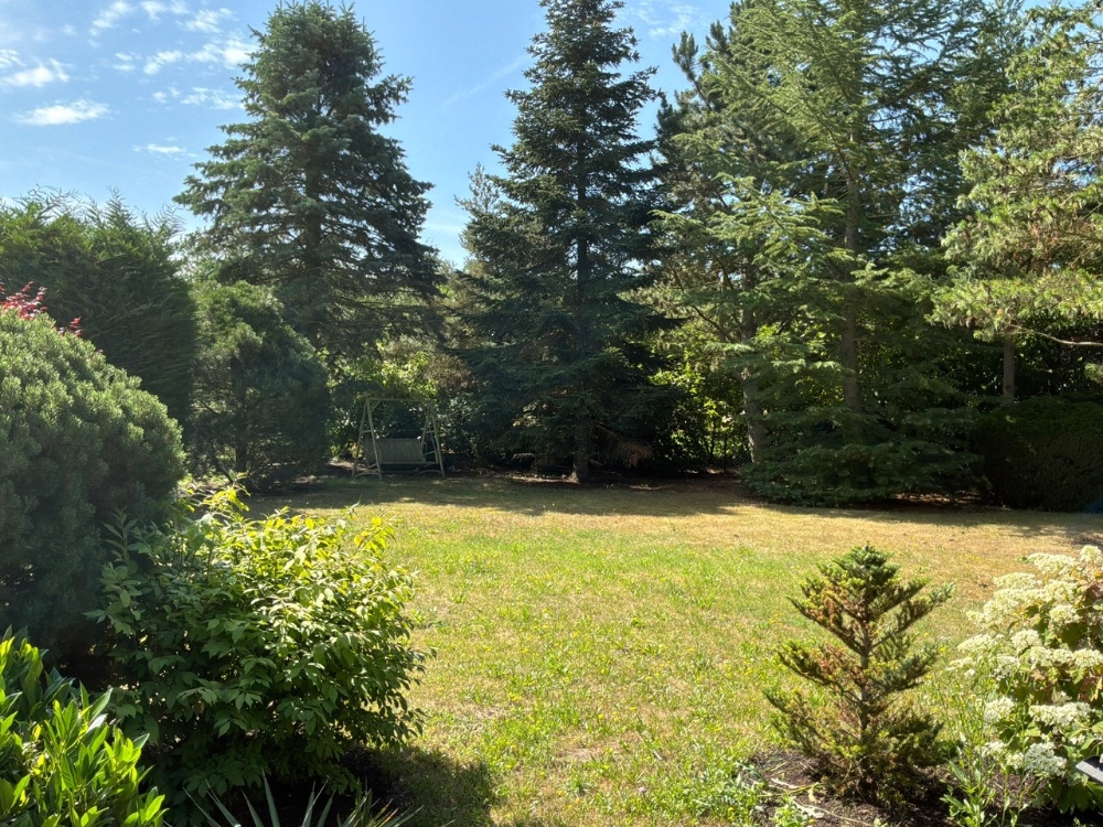 Gartenimpression