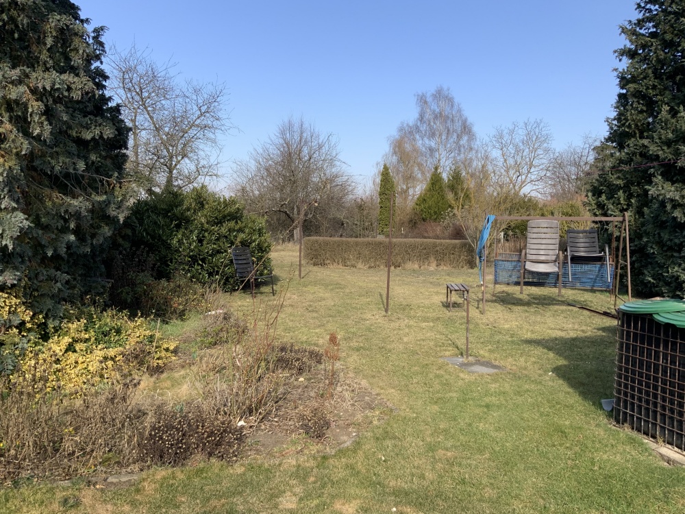 Blick in den Garten