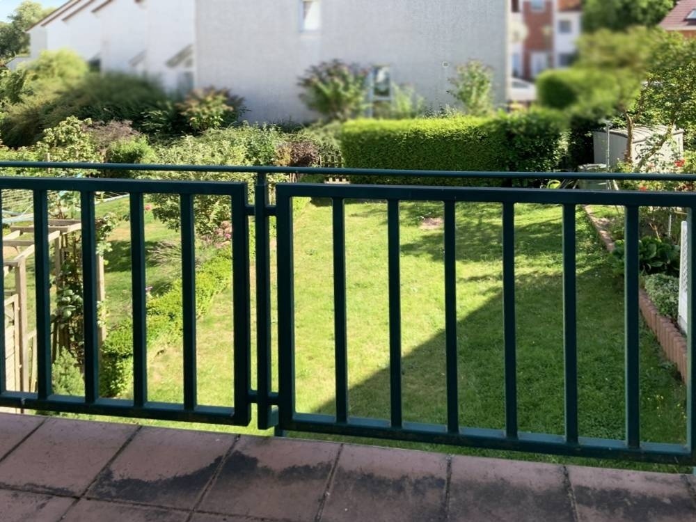 Blick in den Garten 