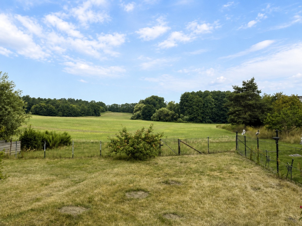 Blick aufs Feld 