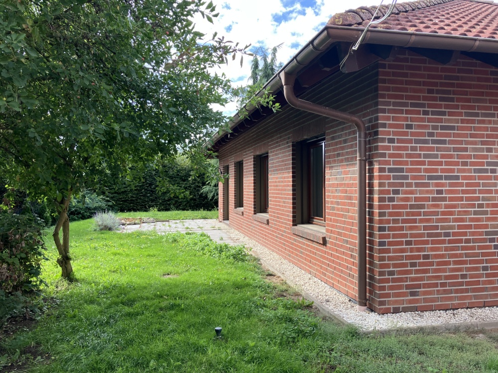 Garten mit Terrasse