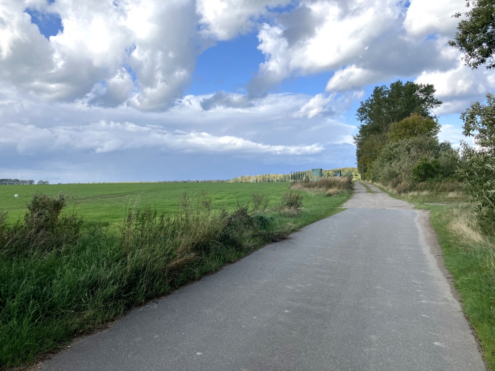 Feldweg Richtung Ostsee