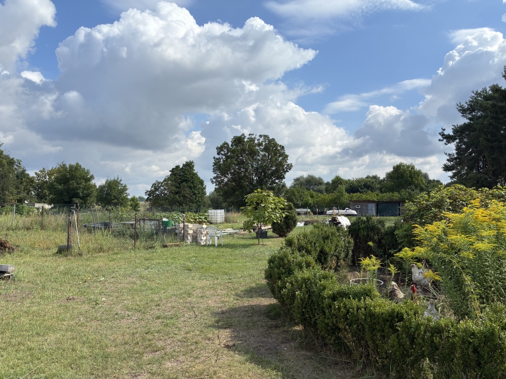 Garten 