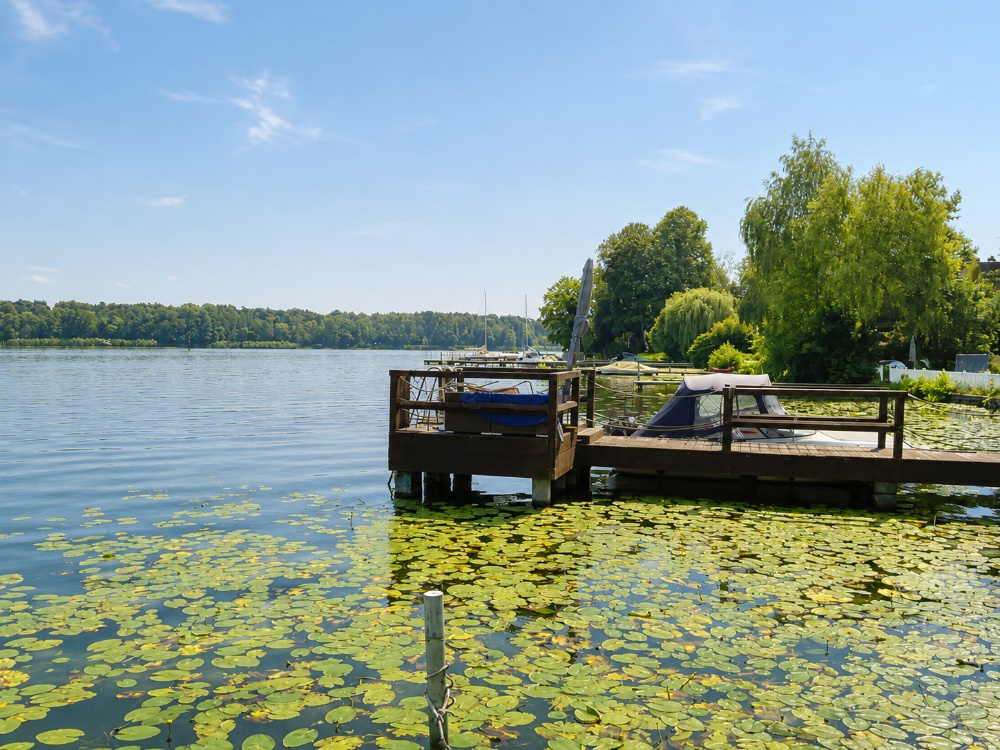 Wasserblick