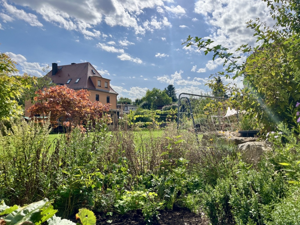 Garten und Umgebung