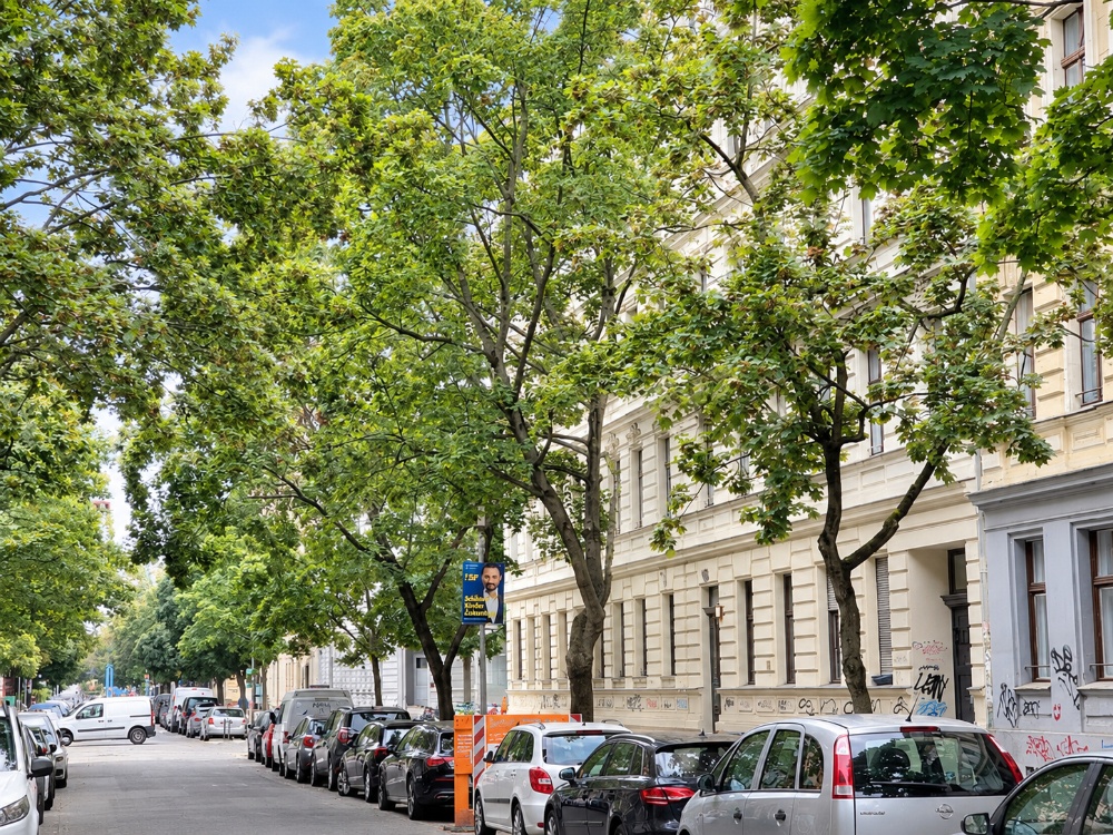 Blick in die Straße