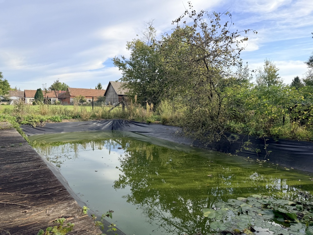 Großer Teich im Garten