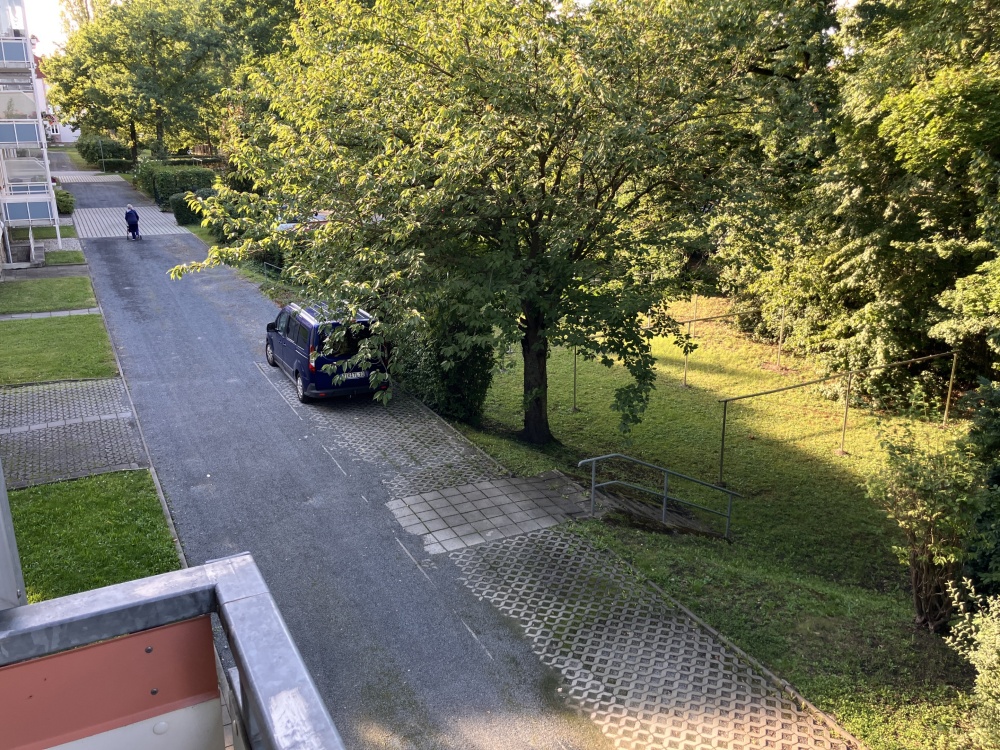 Blick ins Grüne