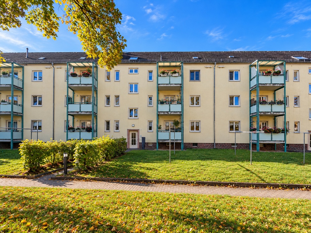 Rückseite